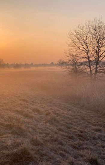 278158671_1236154373582755_5405073803636515300_n