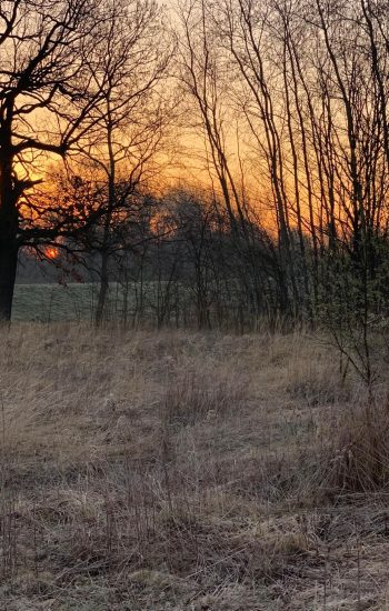 278165041_1119737418569462_1207145160713010311_n (1)