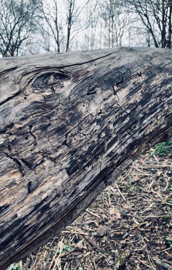 278267162_1671258099900662_1752469111576569510_n