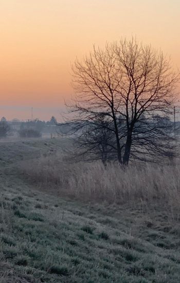 278293905_547290180364755_2120882117952327252_n