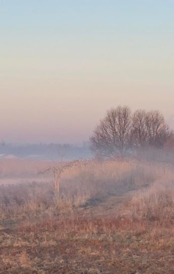 278293913_2798487413793695_1758717956336393704_n