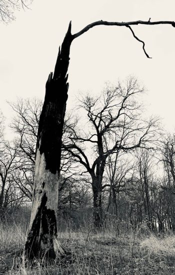 278306868_493380875862646_3737569599527826745_n