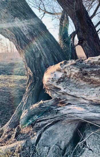 278330510_4933133000057631_4422890571648831112_n